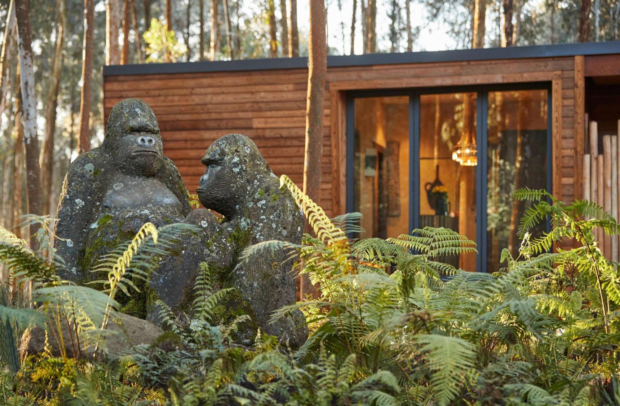 One&Only Gorilla'S Nest Hotel Kinigi Екстериор снимка